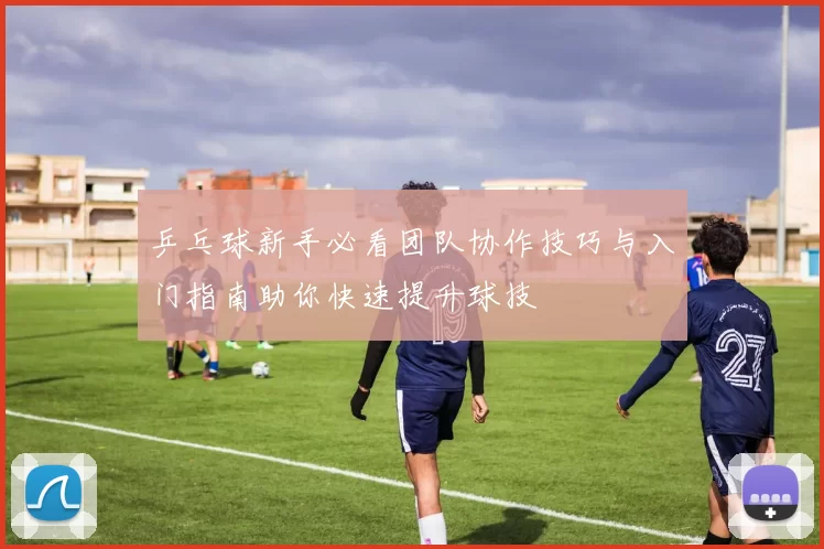 乒乓球新手必看团队协作技巧与入门指南助你快速提升球技