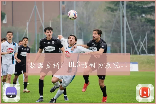 数据分析：BLG的耐力表现_1