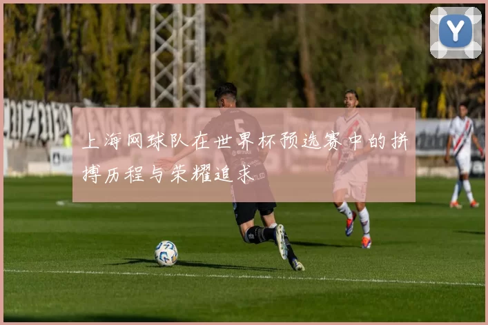 上海网球队在世界杯预选赛中的拼搏历程与荣耀追求