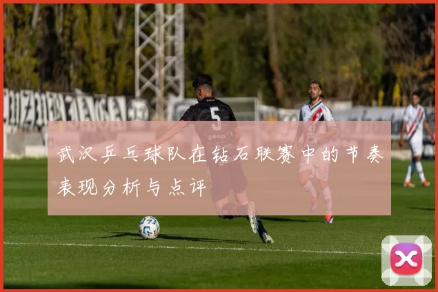 武汉乒乓球队在钻石联赛中的节奏表现分析与点评