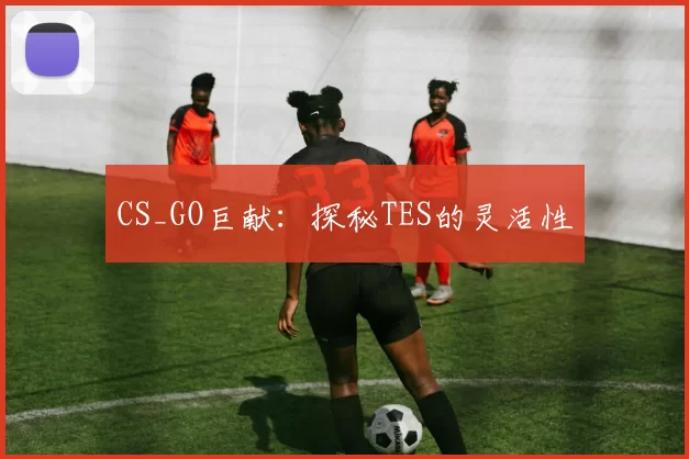 CS_GO巨献：探秘TES的灵活性