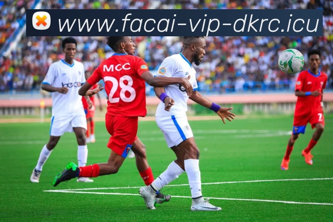 乐竞体育平台生态图